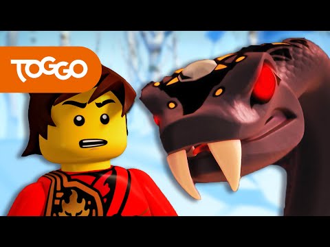 NINJAGO Deutsch | Die Geschichte der Anacondrai | S4 E40 | LEGO | Ganze Folge | TOGGO ​Serien