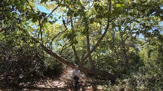 Episode 28: Patience In A Restless World