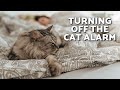 Why Does My CAT WAKE ME UP In The Morning Let Me Sleep