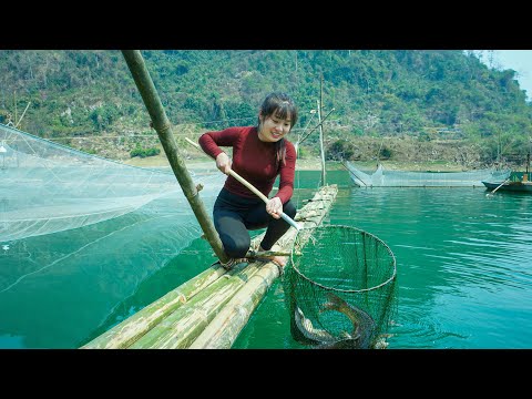 Living Alone on the Lake: Finishing the Fish Trap and the First Catch