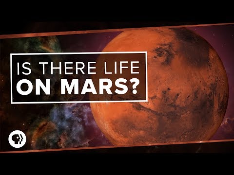 Is There Life on Mars? Video