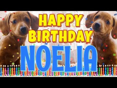 Happy Birthday Noelia! ( Funny Talking Dogs ) What Is Free On My Birthday