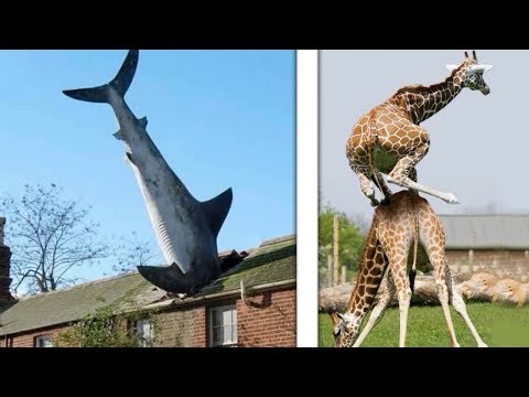 REALE O PHOTOSHOPPATO?