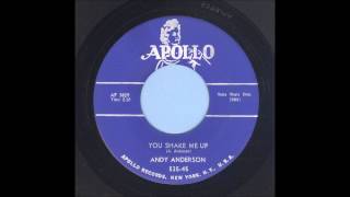 Andy Anderson - You Shake Me Up - Rockabilly 45