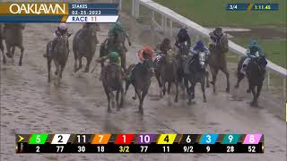 Oaklawn Park - The Rebel Stakes 2023