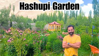 A Day in Hashupi Garden: Enjoying Fresh Fruits and Juices in Shigar | Umar Subhanullah Khan |