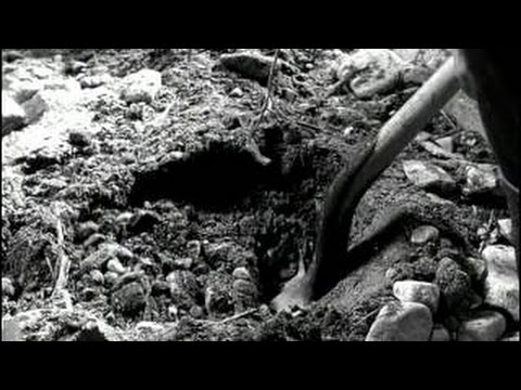 Mackenzie's Raiders Full Episodes 30 Drought