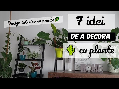 , title : '💚 Cum sa decorezi cu plante de apartament? 🌴 7 idei de decor interior cu plante'