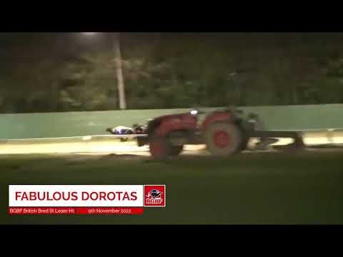 Fabulous Dorotas - BGBF British Bred St Leger Heat 3