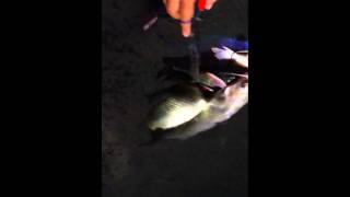 Hideaway Lakes last catch