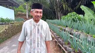 Download lagu Kalangkang anjeun mp3