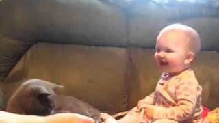 Bebê cai na risada ao brincar com gato e vira sensação - "LUCIANA"