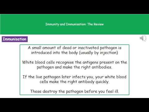 B1 5   Immunity and Immunisation Higher Tier Summary