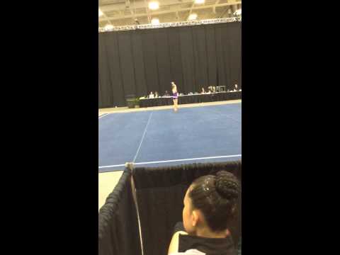 JO 2014 Gabriela Tozlovan Level 8 Group D (Floor)