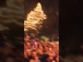 New Year Night In Italy