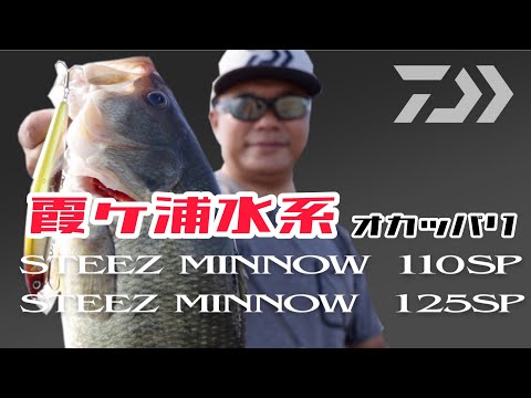 Daiwa Steez Minnow 110F SR 11cm 12.6g #07 Natural Ghost Shad F