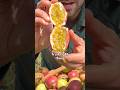 Juicy Passion Fruit Harvest Shorts