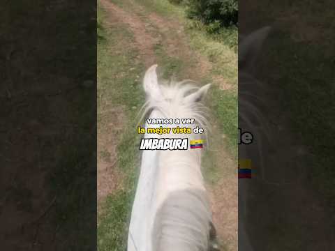 Look where she took me to see Lake San Pablo and Imbabura volcano #imbabura #ecuador #otavalo