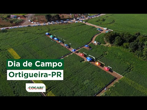 Dia de campo Cocari - Ortigueira-PR