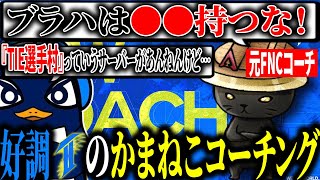センチネル禁止のアドバイスに物申したいTIE Ru【Apex切り抜き/TIE Ru/TIE PRiZE/TIE Gian】