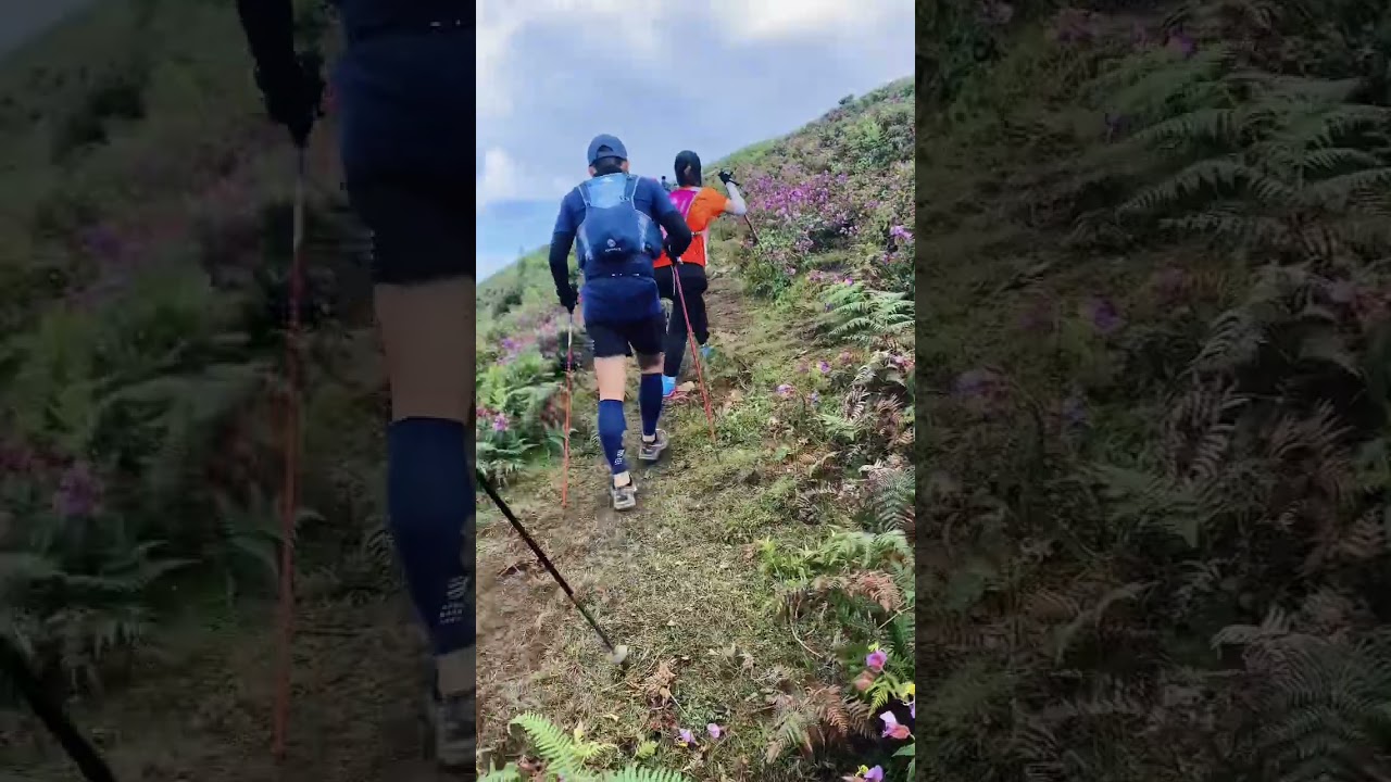 YouTube Short thumbnail