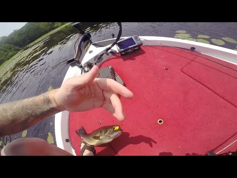 GoPro: Jacob Neves - Best Catch 7.15.15 - Fish