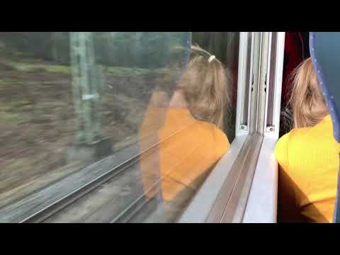 ICE Mitfahrt/Trainride Würzburg - Göttingen in 4 facher Geschwindigkeit