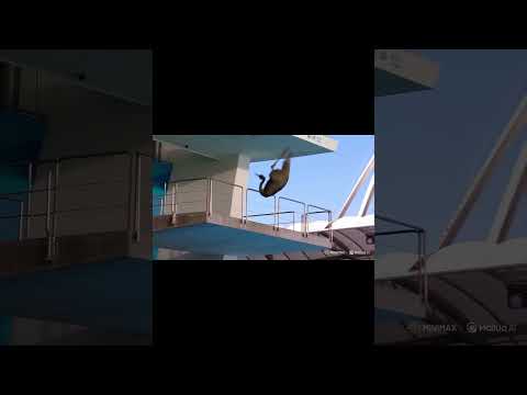 Emu’s epic Olympic jump into water! Crowd erupts as this giant bird stuns with perfect dive!