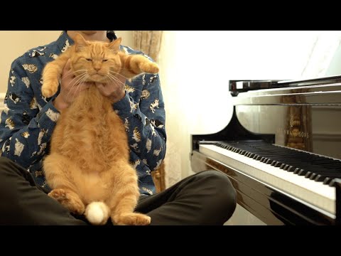 Big Cat Waltz 大猫のワルツ