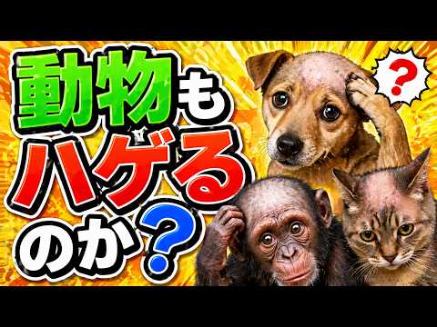 動物もハゲるのか？意外と知られていない毛の真実