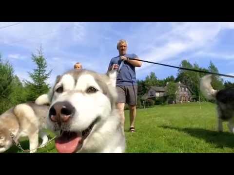 Agroturystyka na Suwalszczyźnie - Siedlisko Klangor - Tasty Places