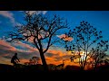 TANIMAYILE SONGS BEST WHATSAPP STATUS Poovarasan Vlog