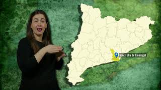 Sant Feliu de Llobregat