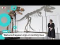 Zeldzaam dinosaurusskelet voor 6,1 miljoen verkocht