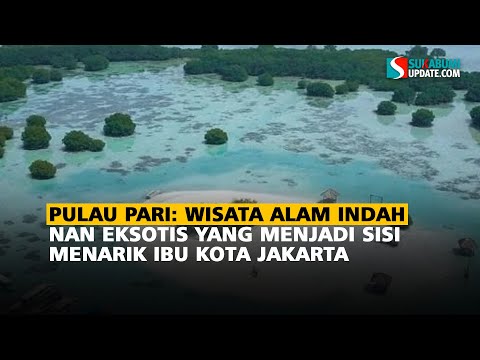 Pulau Pari: Wisata Alam Indah Nan Eksotis yang Menjadi Sisi Menarik Ibu Kota Jakarta