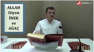 Hasan Yenidere - Allah Diyen İnek ve Ağaç