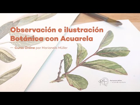 Aprender a dibujar y pintar: ILUSTRACIÓN BOTÁNICA CON ACUARELA