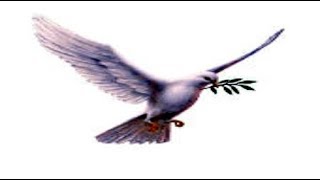 BREAKING TRUMP extends olive branch of peace to North Korea or Nuclear USA Military November 2017