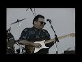 Duke Robillard/Live