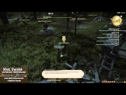 Sinister Swarm [FFXIV] Heavensward Ninja Lvl 56 Quest