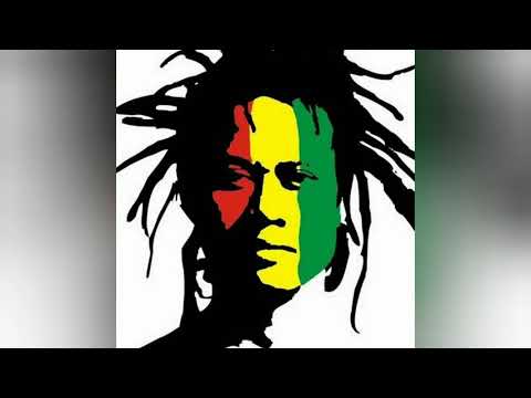 Tony Q Rastafara feat Steven Coconut - Don't Worry (Official Foto)