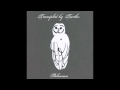 Trampled By Turtles - Wait So Long 