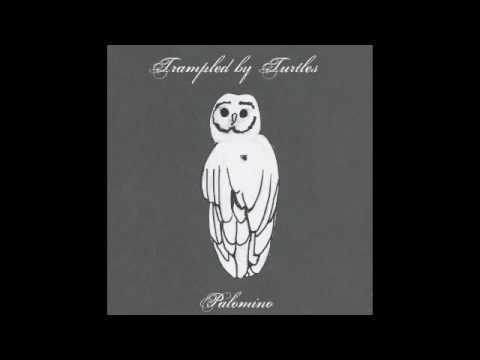 Trampled By Turtles - Wait So Long