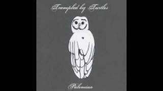 Trampled By Turtles - Wait So Long