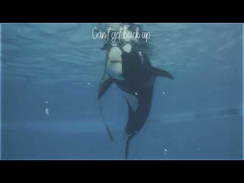 ❦ 𝐌𝐲 𝐚𝐧𝐜𝐡𝐨𝐫. 