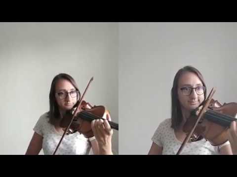 hymne à la joie violon double voix
