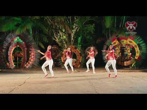 A Turma de Fé - Coreografia 2023