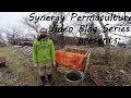 Compost: Make it Hot and Break it Down. A three-part Permaculture
workshop series