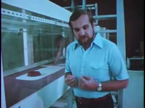 Planet Mars - 1979