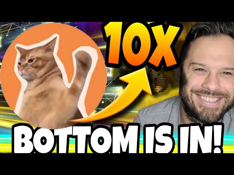 The Bottom Is In And Meme Coins Like CatSlap Are Ready To Soar Higher! 10x Ahead?!